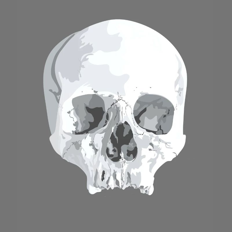 Skull Bone Head Skeleton Skull