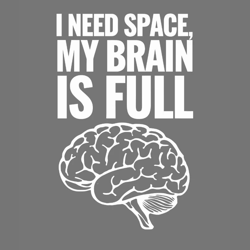 Understanding Psychology Mind and Behavior
