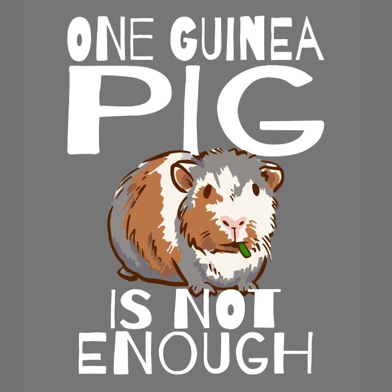 Cadeau d’animal de compagnie de propriétaire de fan de cochon d’Inde