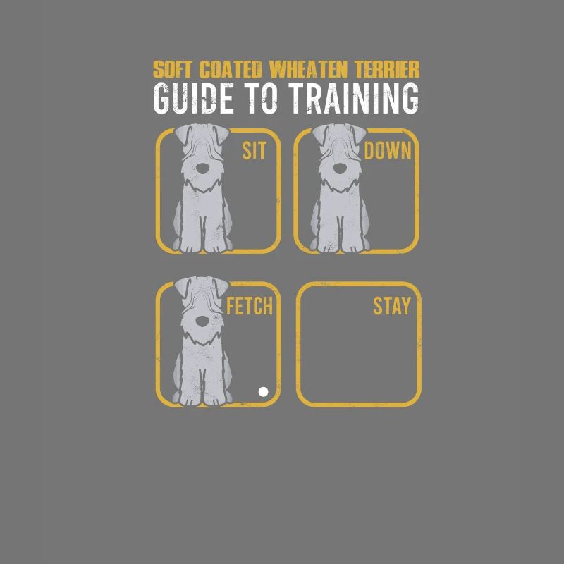 Soft Coated Wheaten Terrier Guide to training Sit