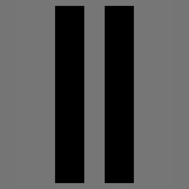 Double Stripe - Black