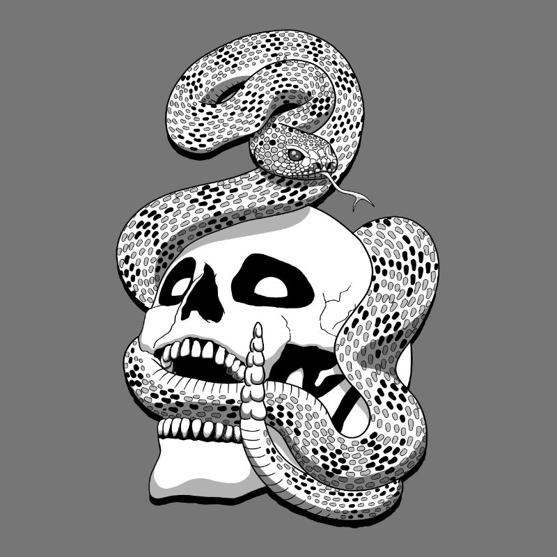 Serpent à sonnette et crâne