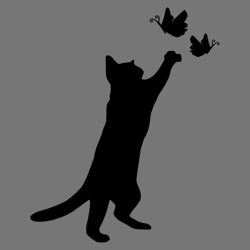 chat chat chat jouer chatte mignon chat bébé chat
