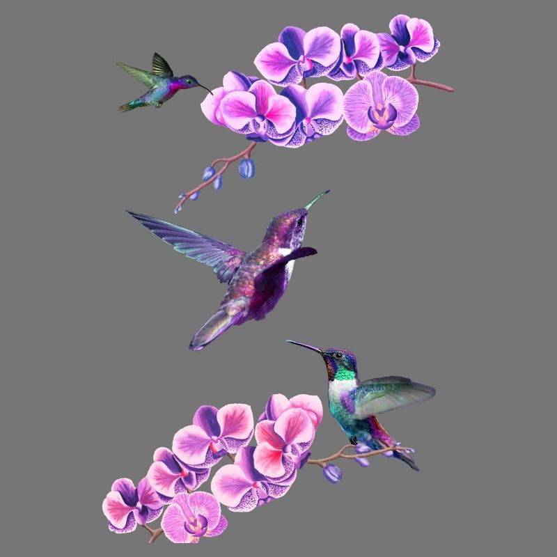 Hummingbirds flying between orchids