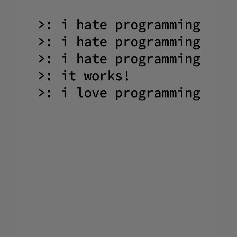 Programmierer Coden Hass Nerd Geek lustig Geschenk