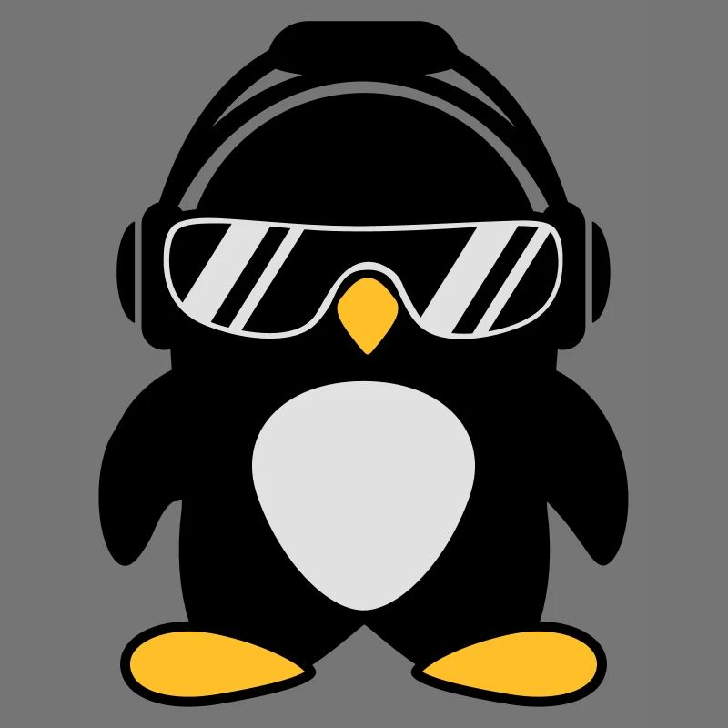Pingouin avec un casque