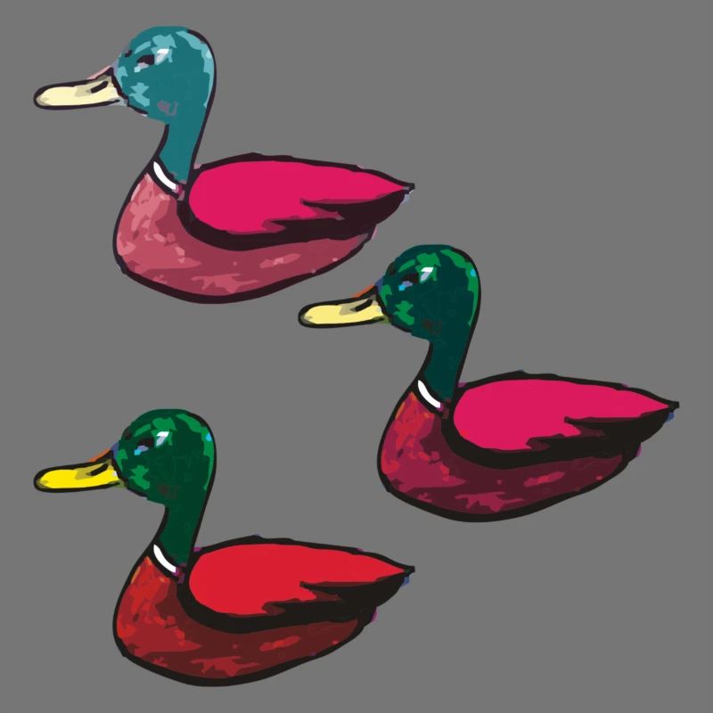 Canards pack de trois