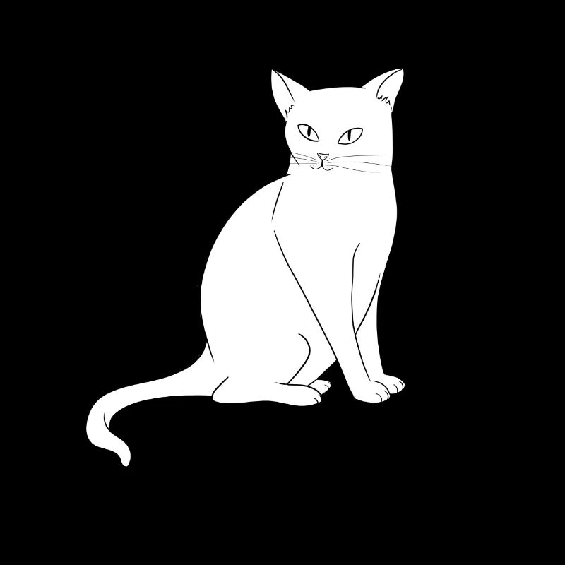Chat blanc