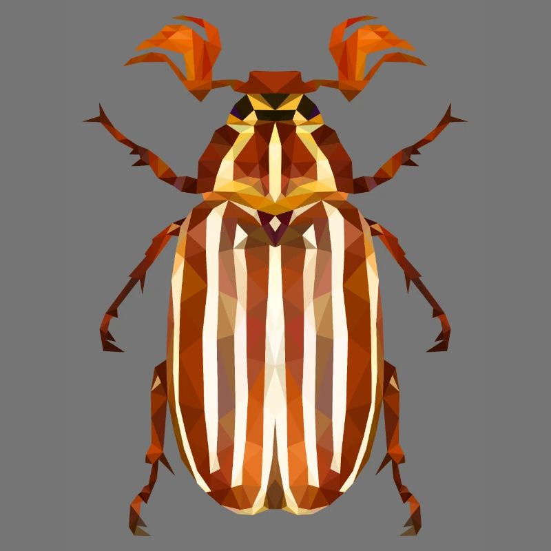 Coléoptère de la pastèque