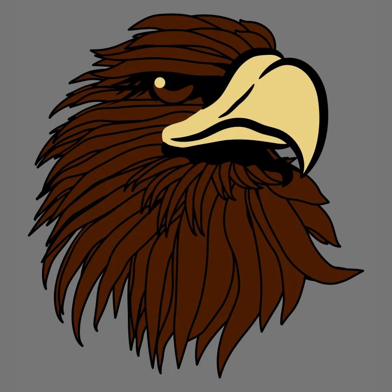 Eagle Bald Eagle