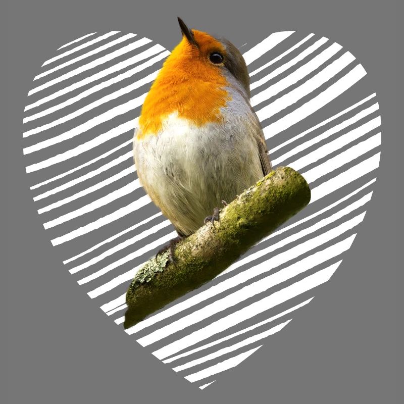 Rotkehlchen Singvogel