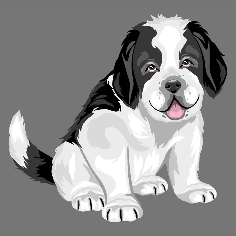 Mignon chiot Saint Bernard