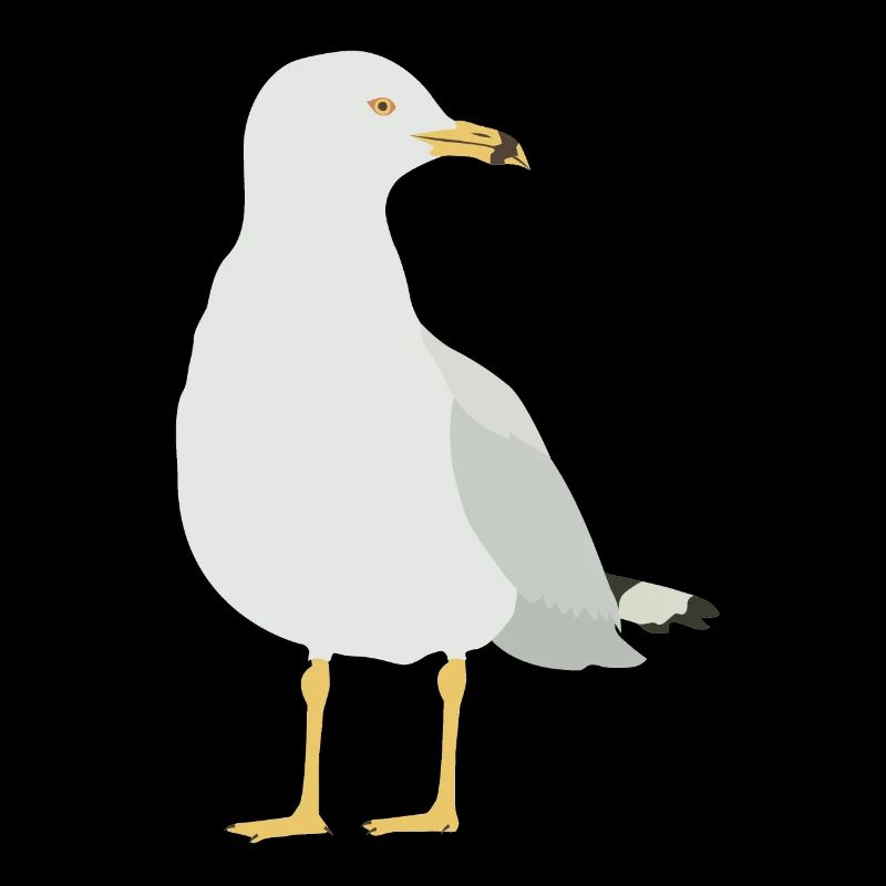 gull