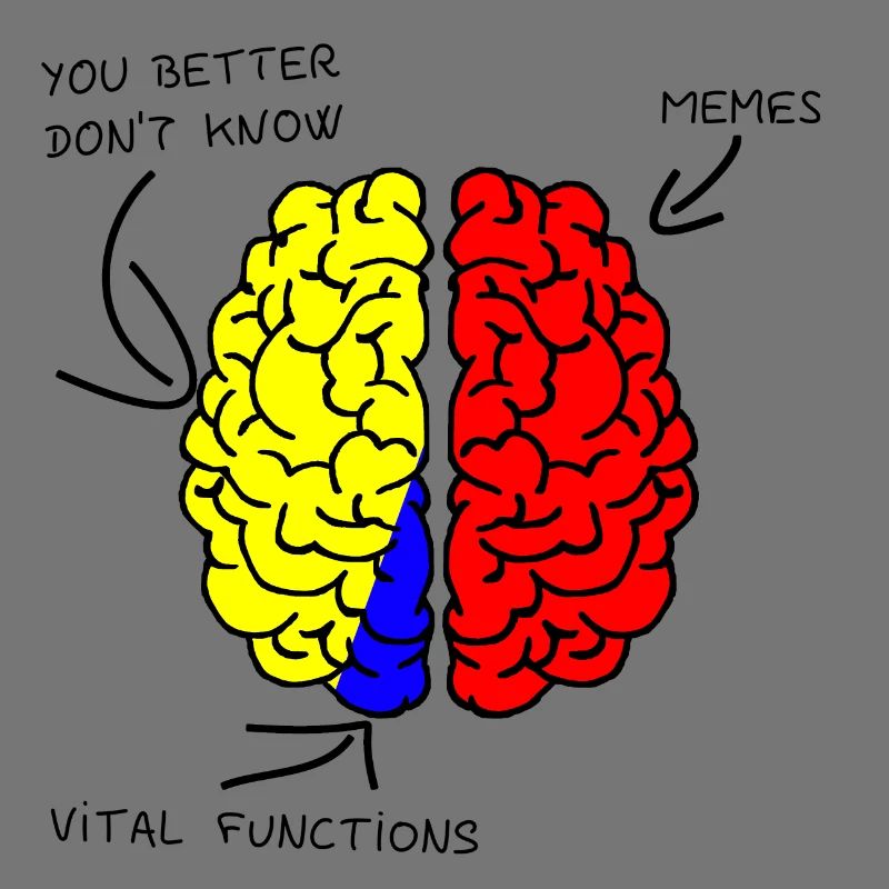 Brain - Brain - Memes