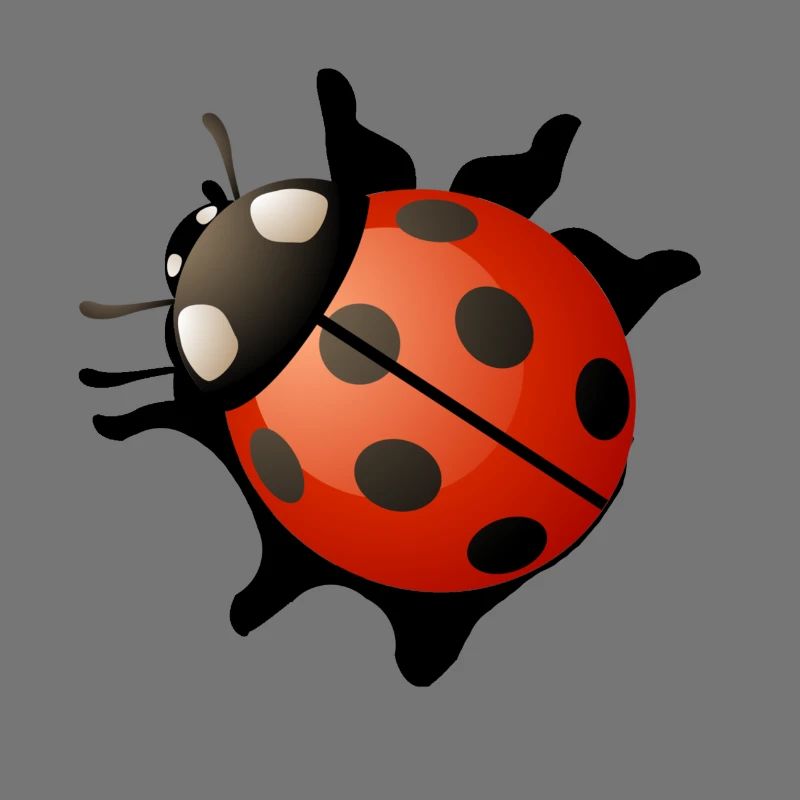 Marienkäfer Rot Geschenk Geschenkidee