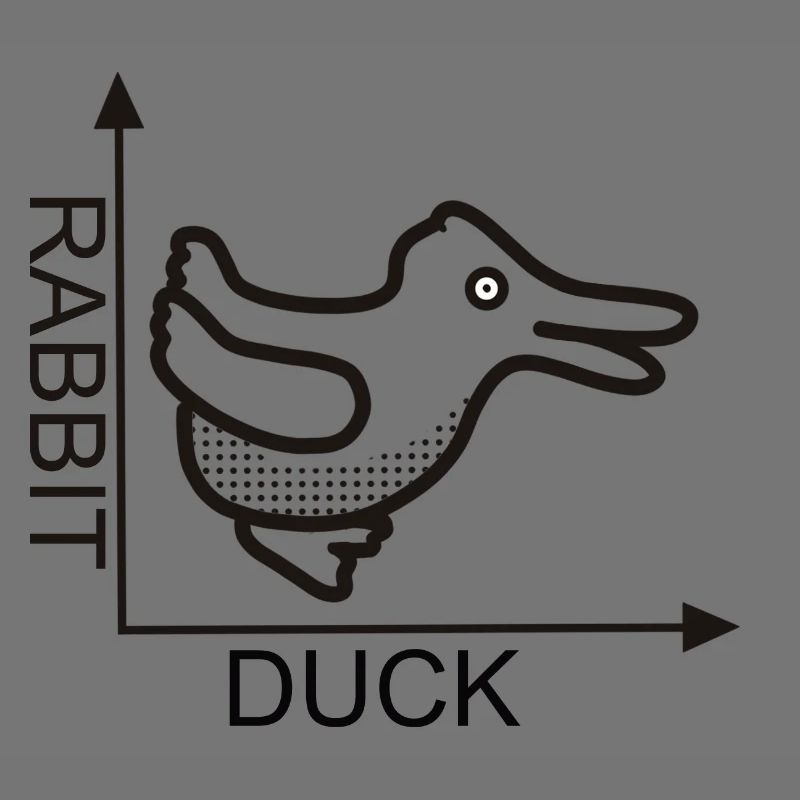 Rabbit Duck Diagram Optical Illusion