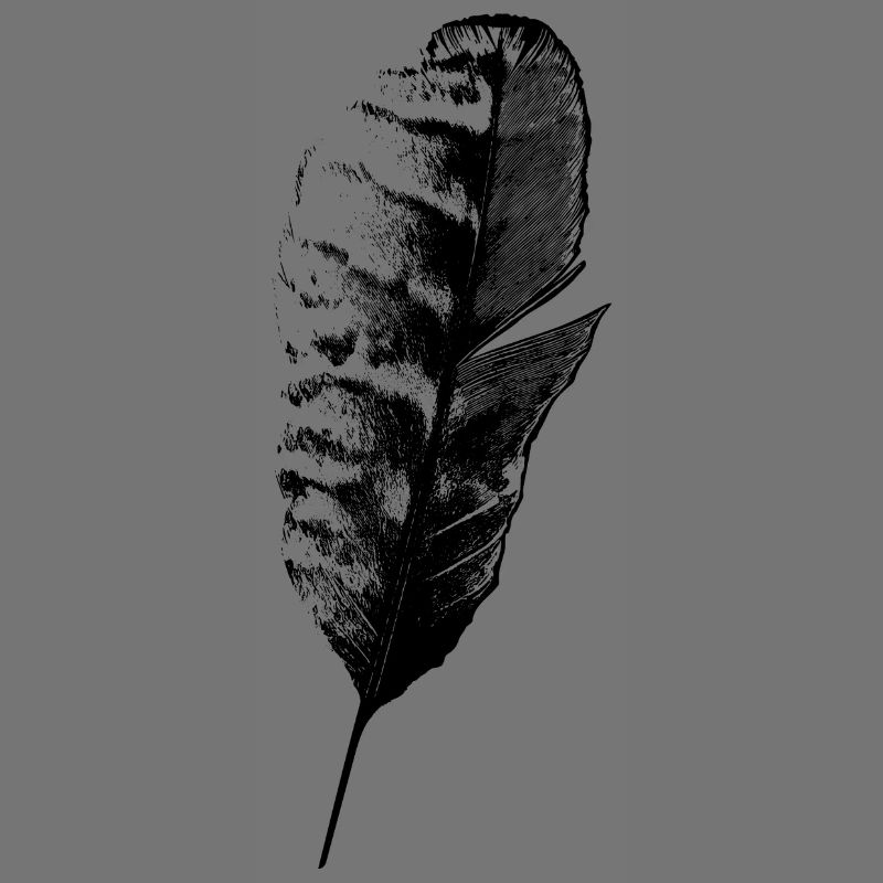Plume d’écriture