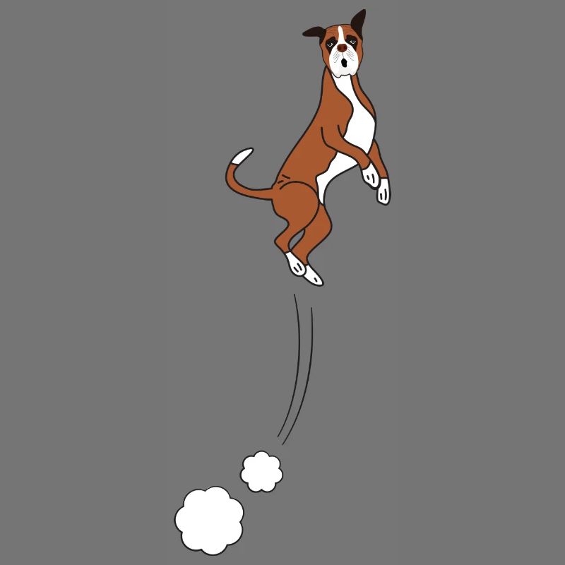 Boxer Hundesprünge