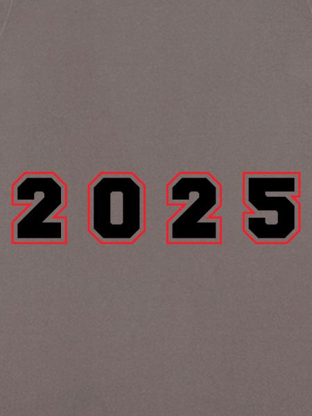 2025 Year Number