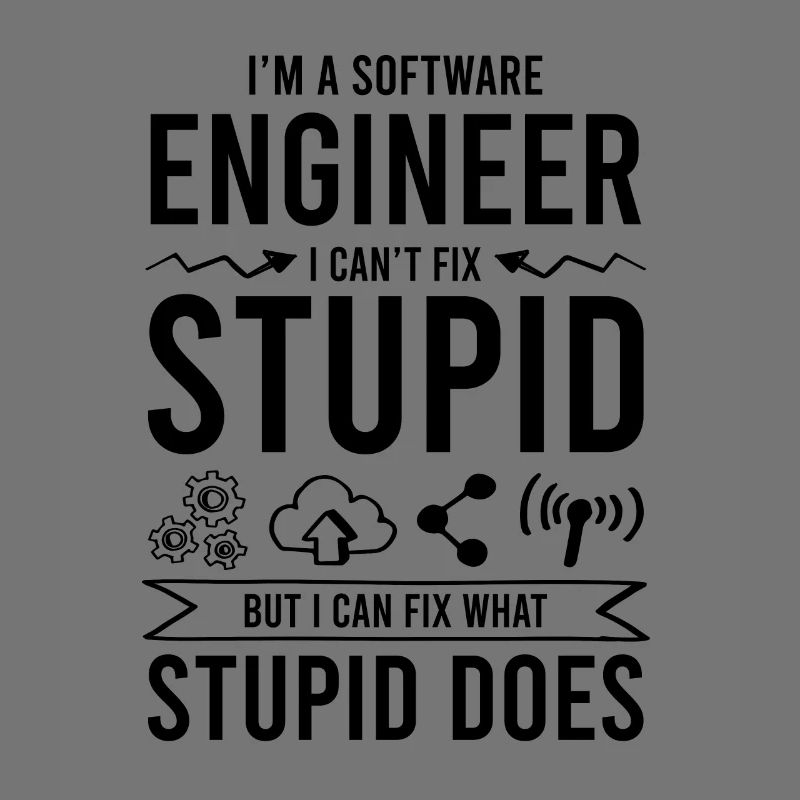 software ingenieur spruch