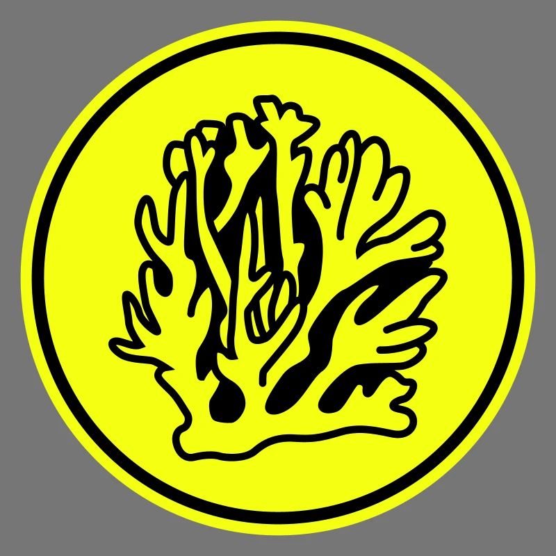 Océan de corail