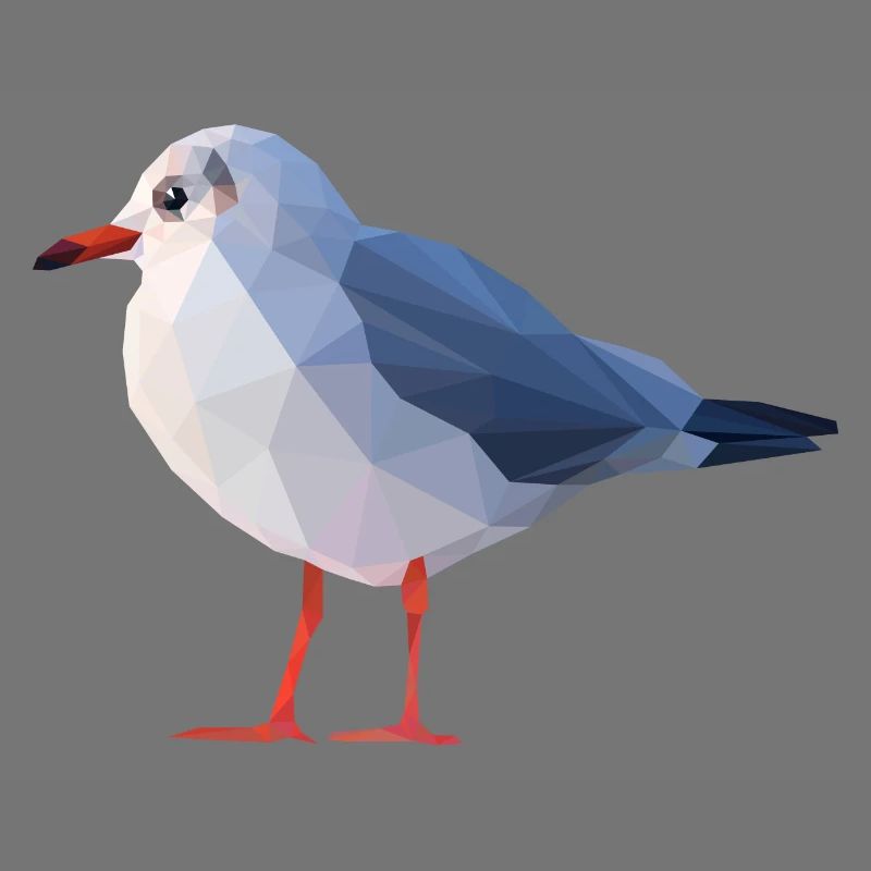 Möwe
