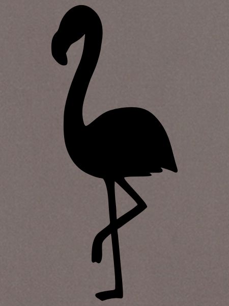 Flamingo 2