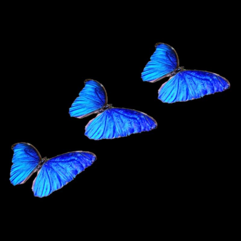 Butterfly blue