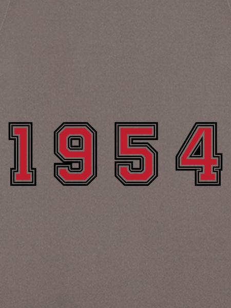 1954 year number
