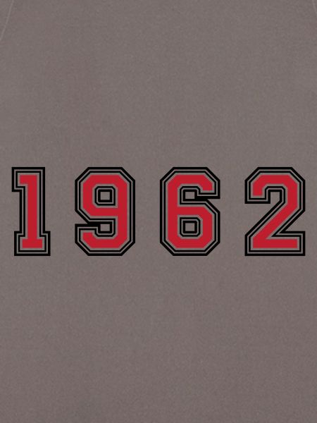 1962 year number