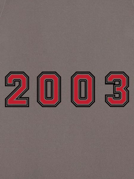 2003 Year Number