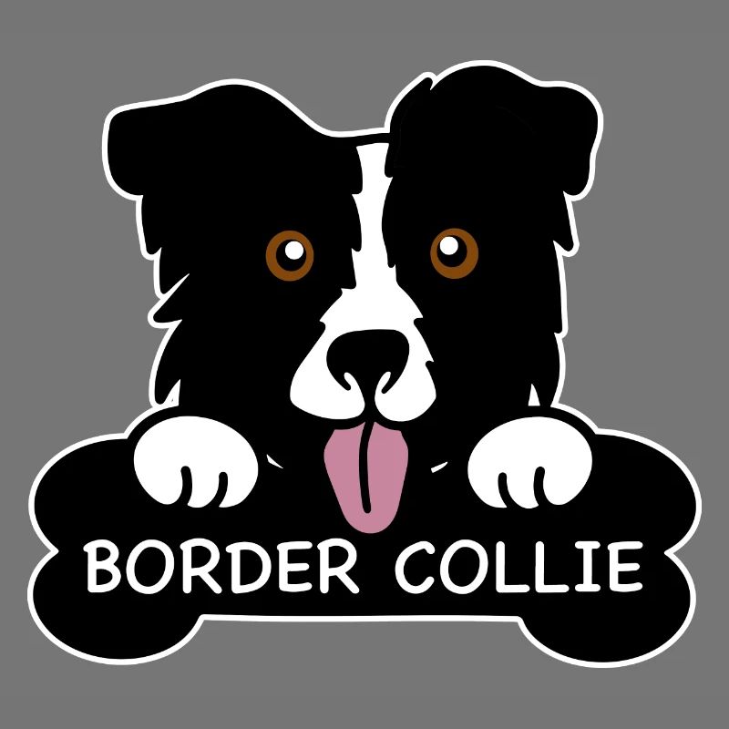 Border collie and bones