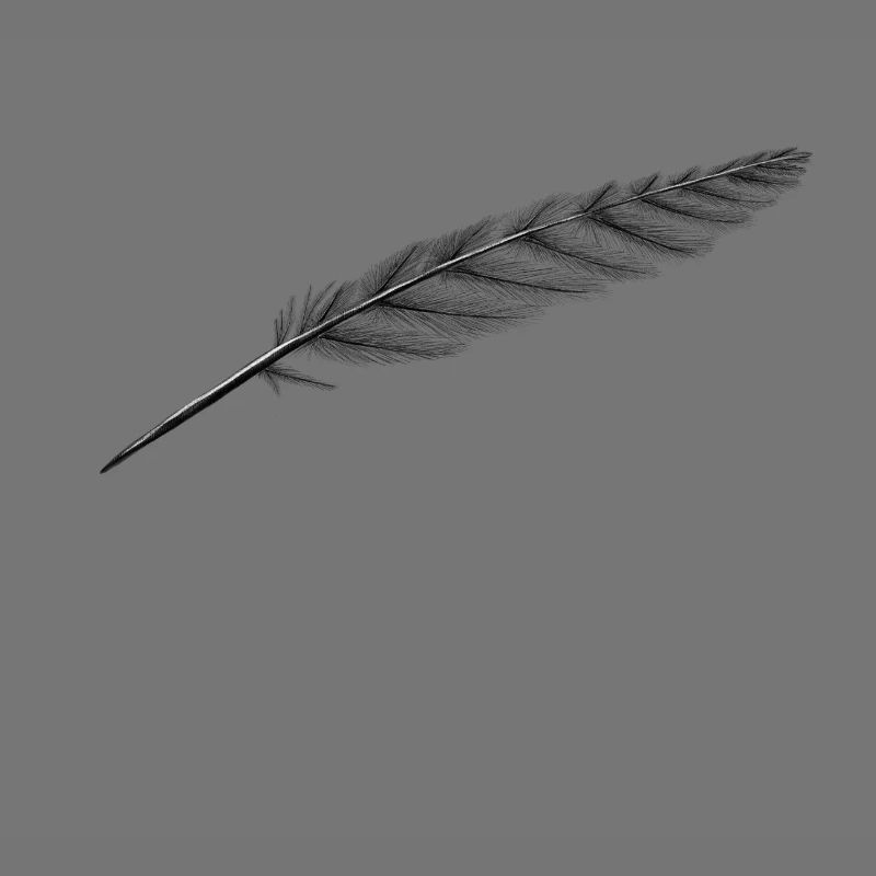 Plume bien sûr