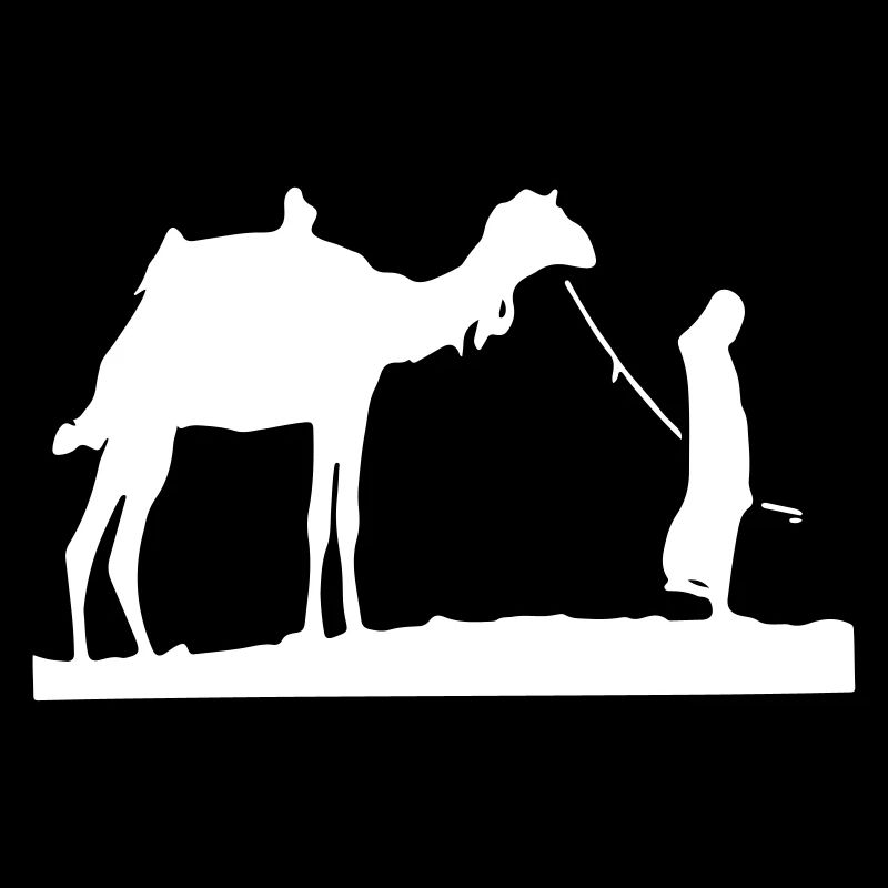 Wüste Sahara Kamel