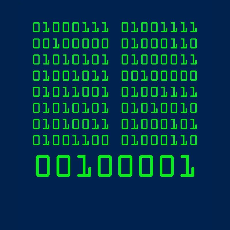 Go fuck yorself! Binärcode Programmieren Code