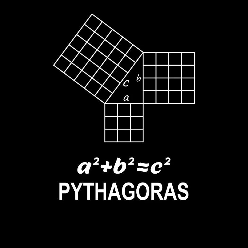 Sentence of Pythagoras Gift for Math Teacher Nerd