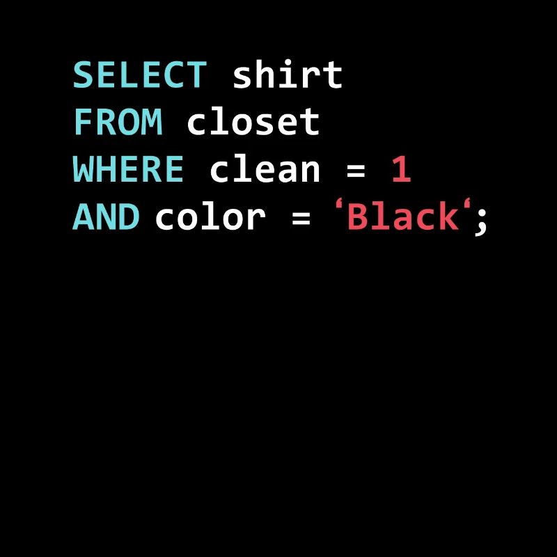 Programmer Database Funny SQL Query
