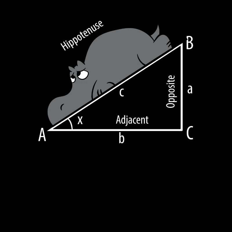 Mathe Pythagoras Hypothenuse Nilpferd Hippo