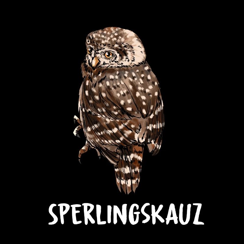 Sperlingskauz Eule Eulenart Eulen