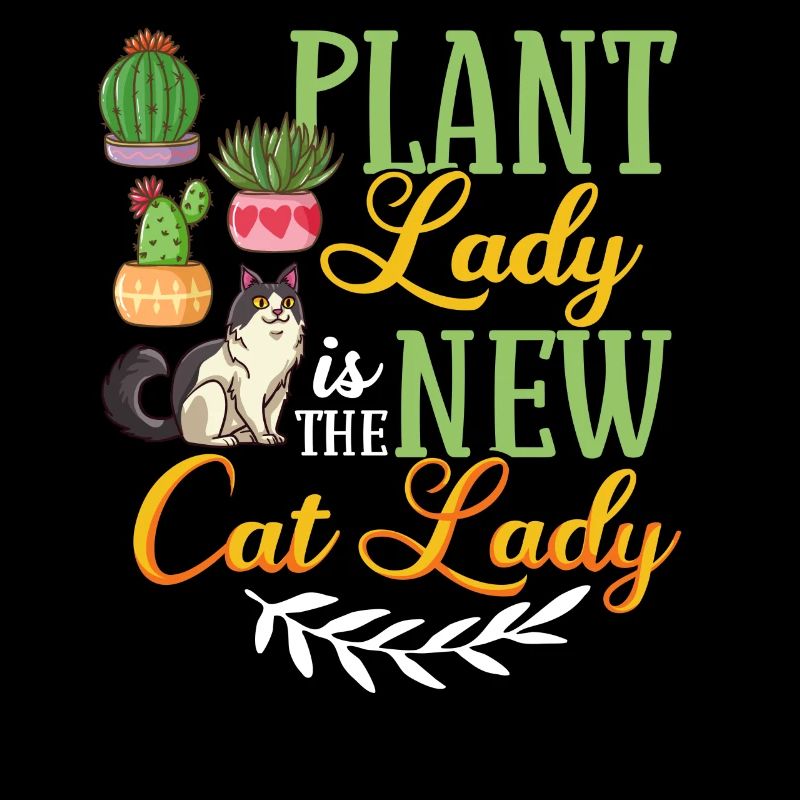 Catcus Cactus Chat Plantes Succulentes Cactus