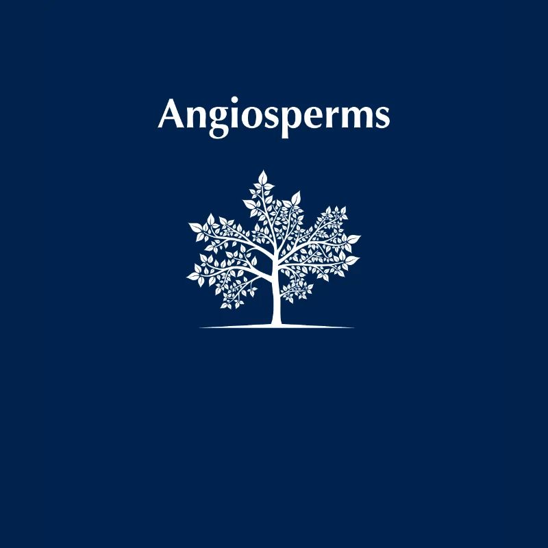Angiospermen