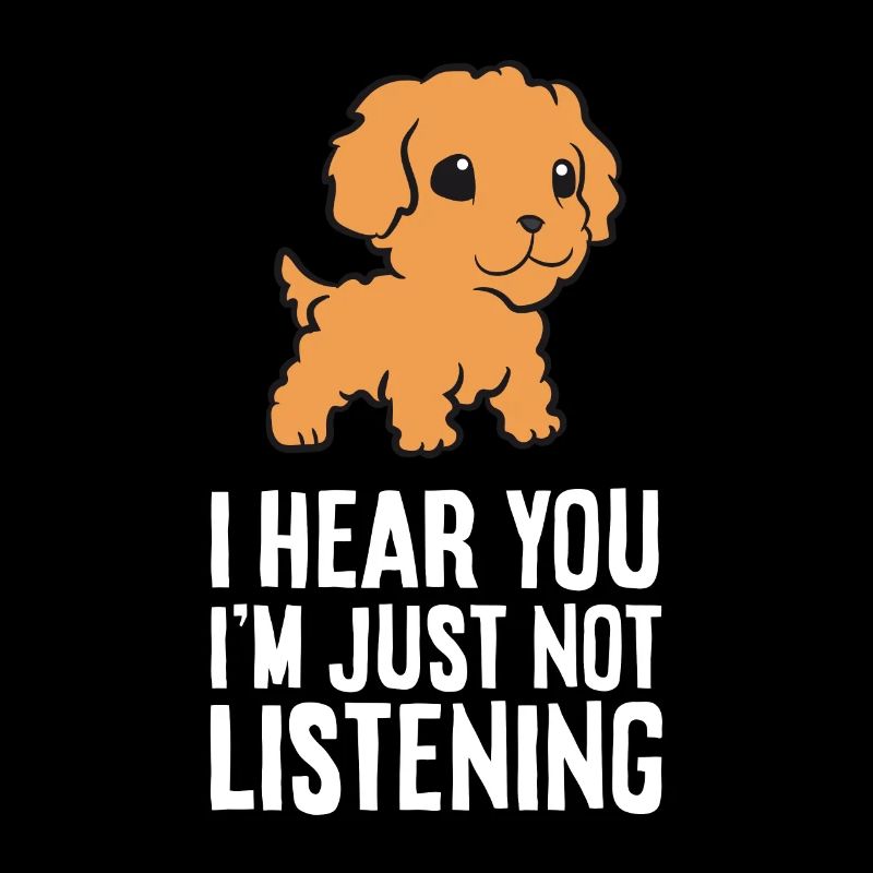 Cavapoo Ich höre dich, ich höre nur nicht zu