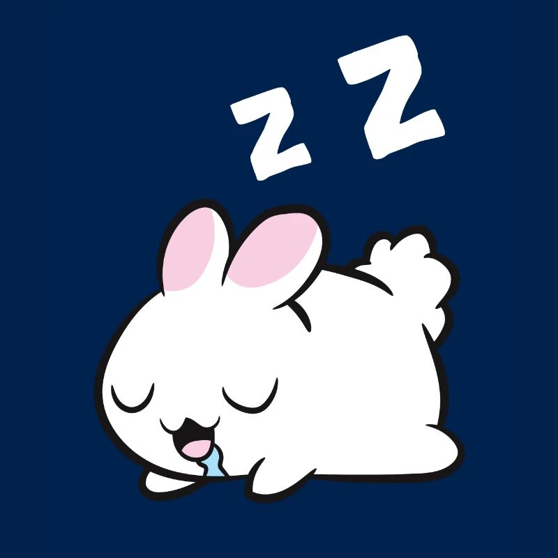 Sleeping Rabbit Sleeping Pajama Rabbit