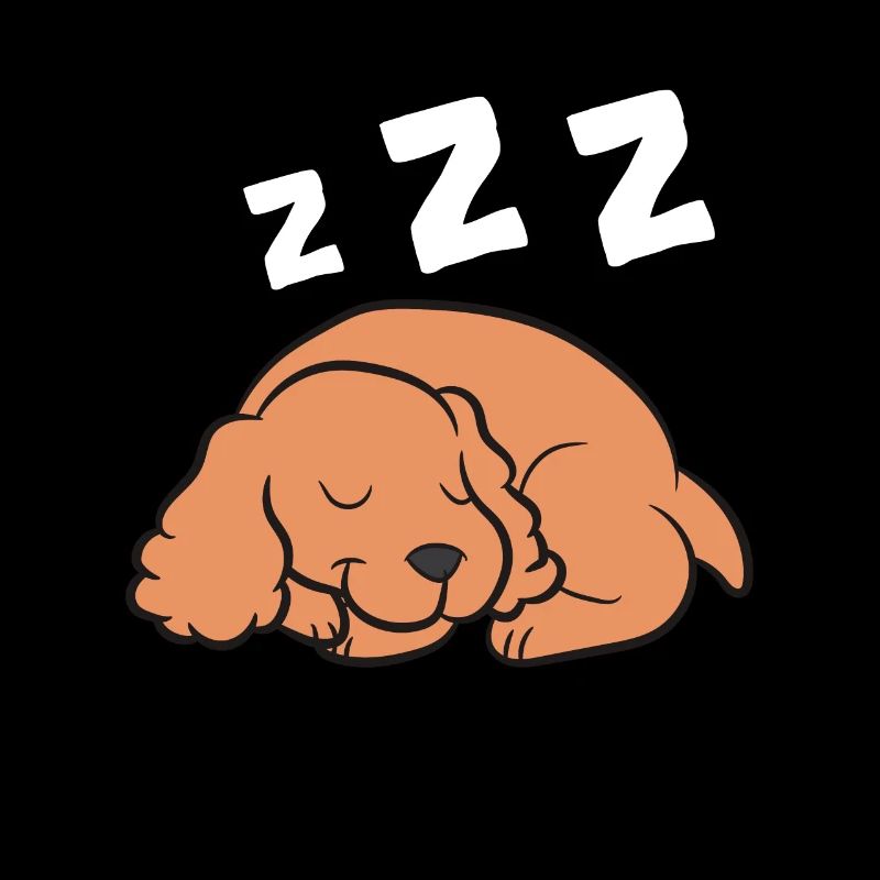 Cocker Spaniel Hund Schlafen Pyjama Cocker