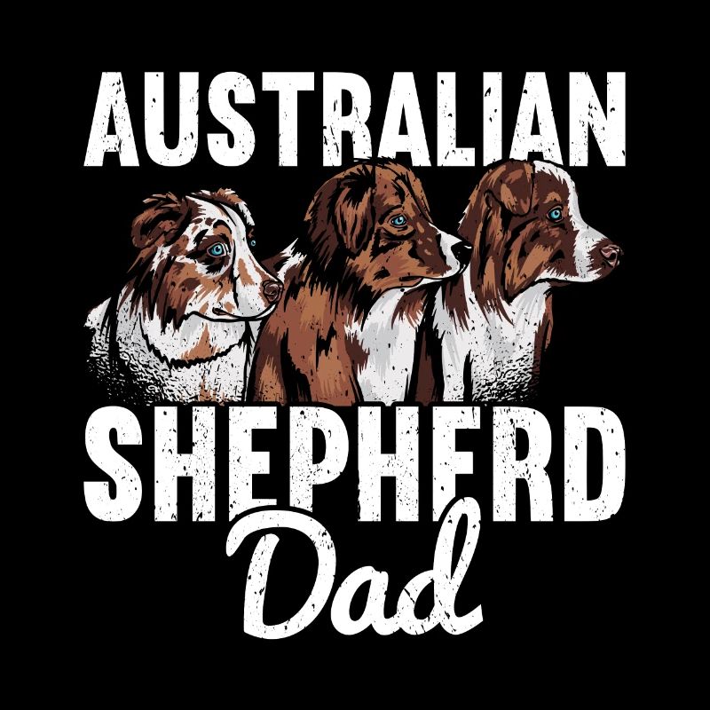 Australischer Schäferhund