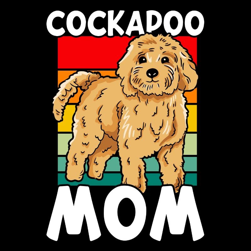 Cockapoo Hund