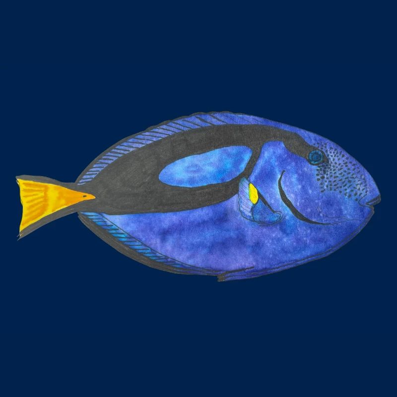 Blue Surgeonfish Snorkeling Fish Aquarium Reef