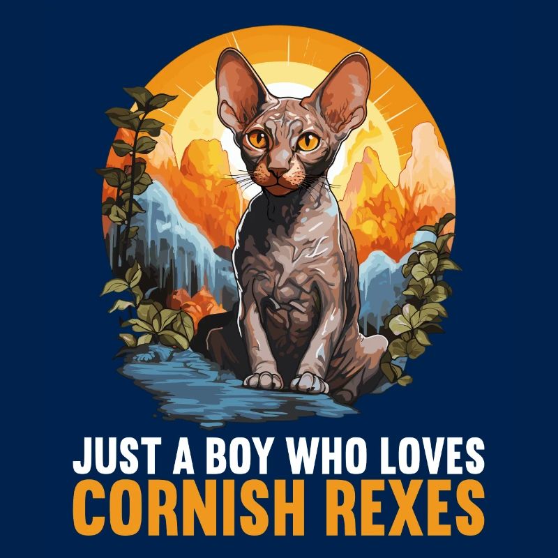 Cornish Rex Kätzchen Cornish Rex Katze