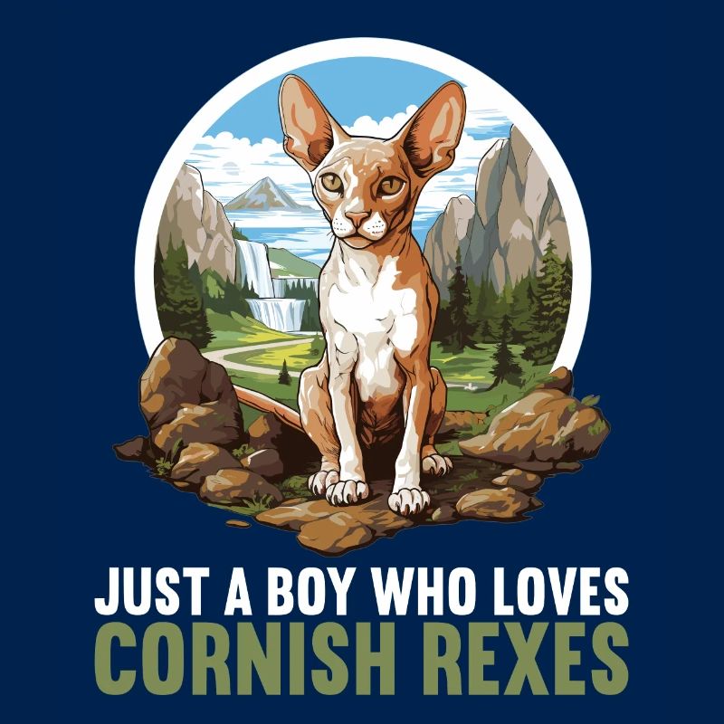 Cornish Rex Kätzchen Cornish Rex Katze