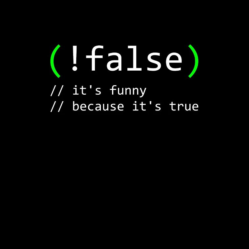 Programmer Humor false true funny Nerd Geek